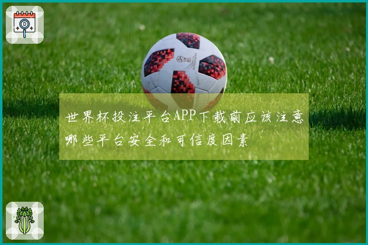 世界杯投注平台APP下载前应该注意哪些平台安全和可信度因素