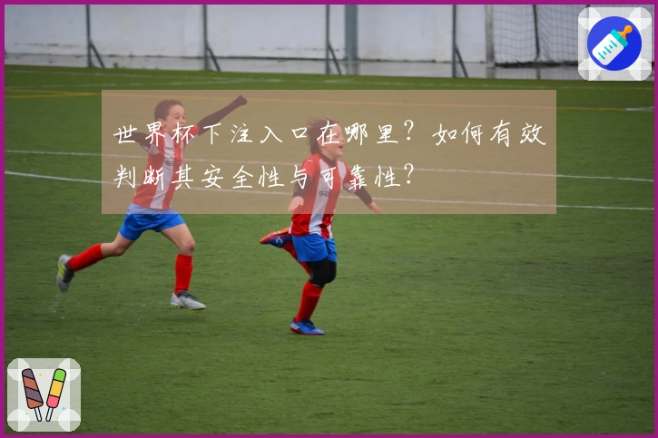 世界杯下注入口在哪里？如何有效判断其安全性与可靠性？