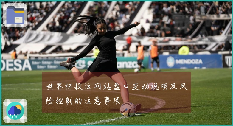 世界杯投注网站盘口变动说明及风险控制的注意事项