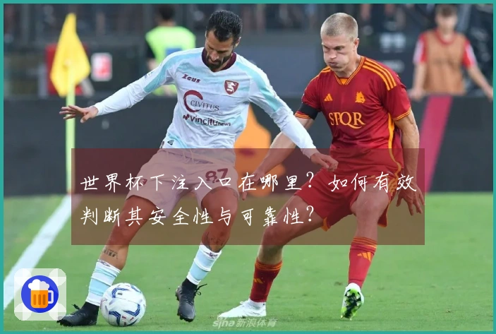 世界杯下注入口在哪里？如何有效判断其安全性与可靠性？