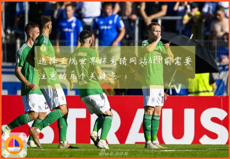 选择正规世界杯竞猜网站APP前需要注意的几个关键点