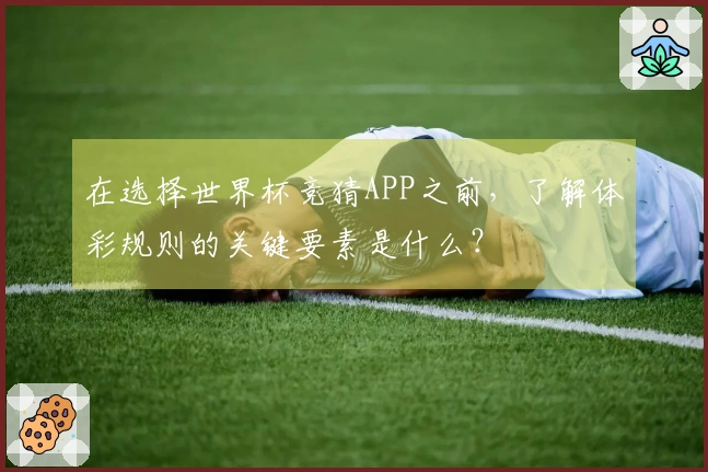 在选择世界杯竞猜APP之前，了解体彩规则的关键要素是什么？