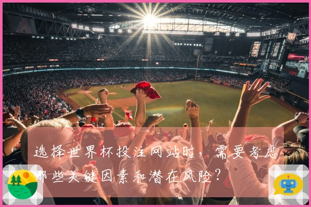 选择世界杯投注网站时，需要考虑哪些关键因素和潜在风险？