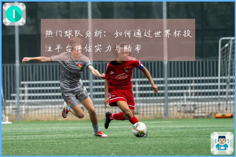 热门球队分析：如何通过世界杯投注平台评估实力与赔率